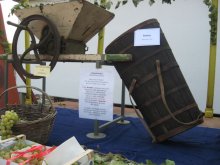 attrezzo per spremitura e tina
